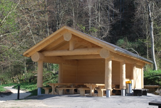 Timber Kings
